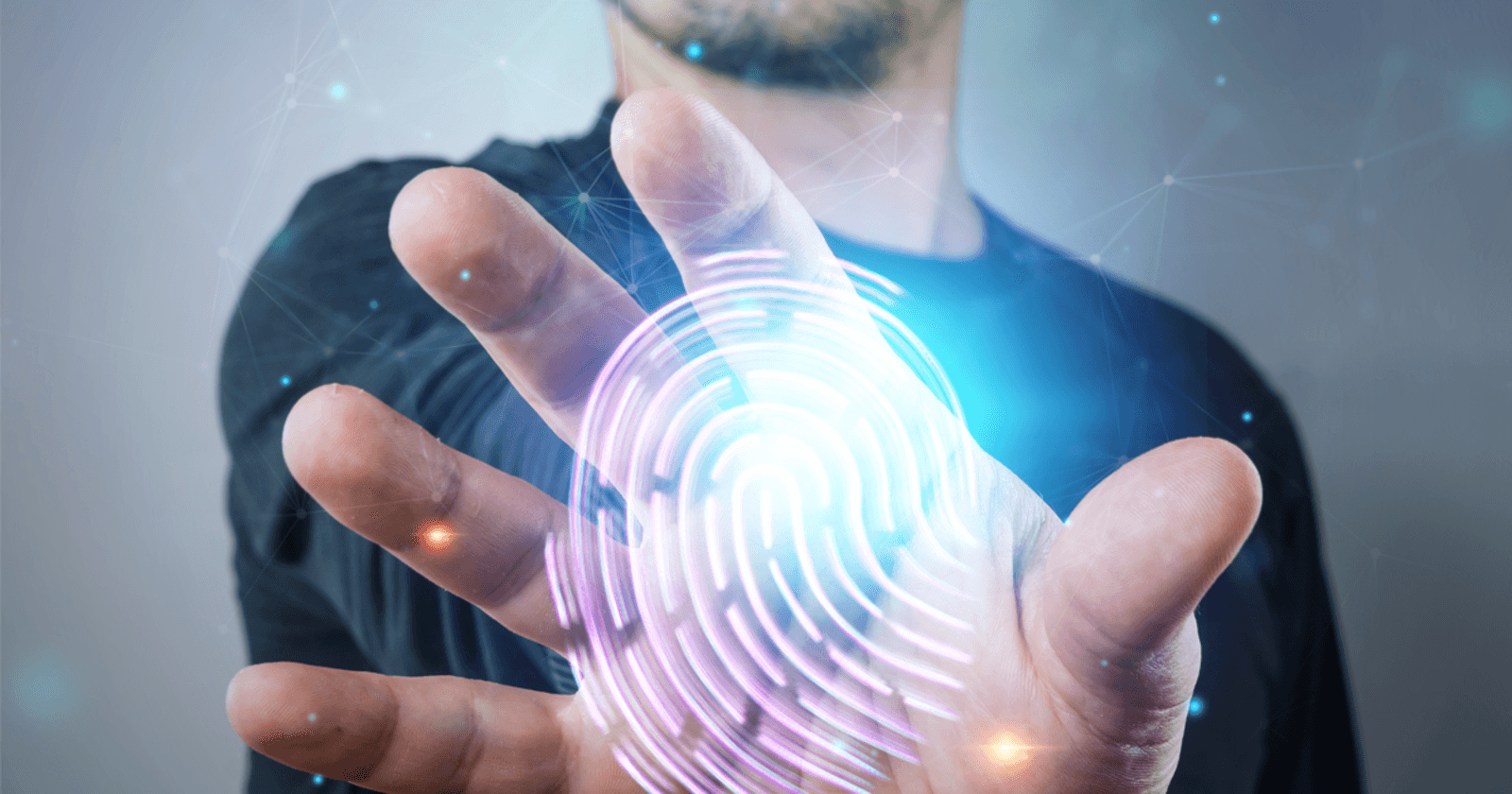 Biometric Identification Systems